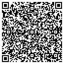 QR code with Briar Patch contacts