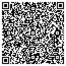 QR code with Pub Pegasus Inc contacts