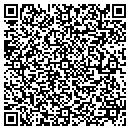 QR code with Prince David L contacts