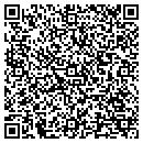 QR code with Blue Star Pool Care contacts