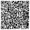 QR code with Cdds contacts