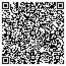 QR code with Capri Custom Pools contacts