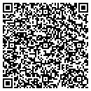 QR code with Precious Elements contacts