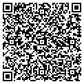 QR code with Dfwktm contacts