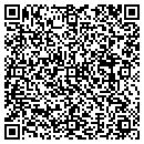 QR code with Curtis's Auto Sales contacts