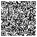 QR code with D Signs contacts