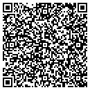 QR code with Castleview Products contacts
