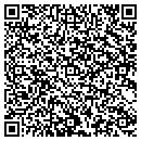QR code with Publi Auto Sales contacts