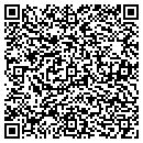 QR code with Clyde Public Library contacts