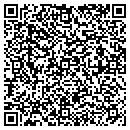 QR code with Pueblo Connection Inc contacts