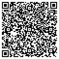 QR code with Radius contacts