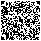 QR code with Plains Technologies Inc contacts