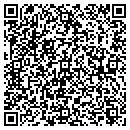 QR code with Premier Auto Service contacts