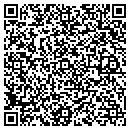 QR code with Proconnections contacts