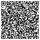 QR code with PVA Consulting Group contacts
