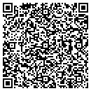 QR code with Public Works contacts