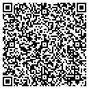 QR code with Pyke & Pyke P C contacts