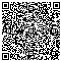 QR code with Motif contacts