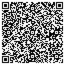 QR code with Captura Software Inc contacts