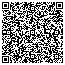 QR code with Presentations contacts