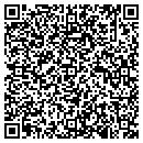 QR code with Pro Webs contacts
