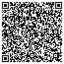 QR code with Pvp Interiors contacts