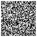 QR code with Blue House Antiques contacts