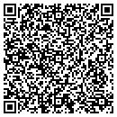 QR code with Color Place Inc contacts