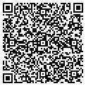QR code with A Lieb contacts
