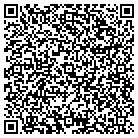 QR code with Blueimage Technology contacts