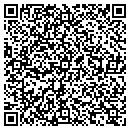 QR code with Cochran Land Service contacts