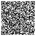 QR code with Amvets contacts