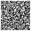 QR code with Professional Nails contacts