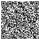 QR code with Collier Electric Inc contacts