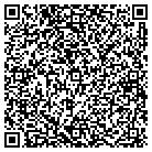 QR code with Blue Water Pool Service contacts
