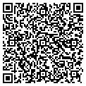 QR code with P M Co contacts
