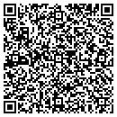 QR code with Colt Technologies Inc contacts
