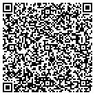 QR code with Pulse Health Service contacts