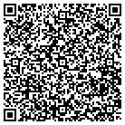 QR code with Psonet Solution Inc contacts