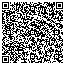 QR code with Public Storage contacts