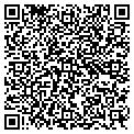 QR code with Netfix contacts