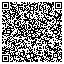 QR code with Colt Utilities Inc contacts