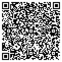 QR code with S Tex contacts