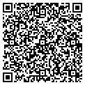 QR code with Shell contacts