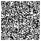 QR code with Spring Creek Gallery contacts