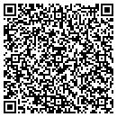 QR code with Pretzel Time contacts