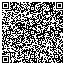 QR code with Premier Access contacts