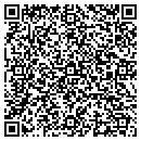 QR code with Precision Unlimited contacts