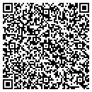 QR code with Public Storage contacts