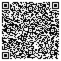 QR code with Mandi contacts